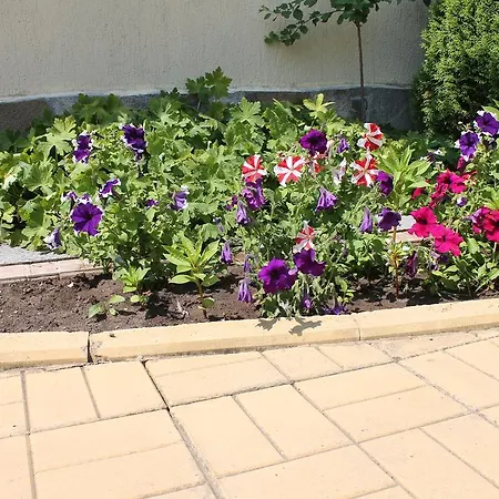 Aqua Blue * ساني بيتش